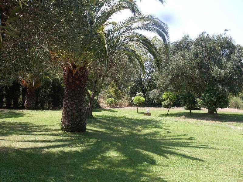 אפרטהוטל דאסיה Panorama Hideaway מראה חיצוני תמונה