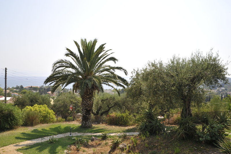 אפרטהוטל דאסיה Panorama Hideaway מראה חיצוני תמונה